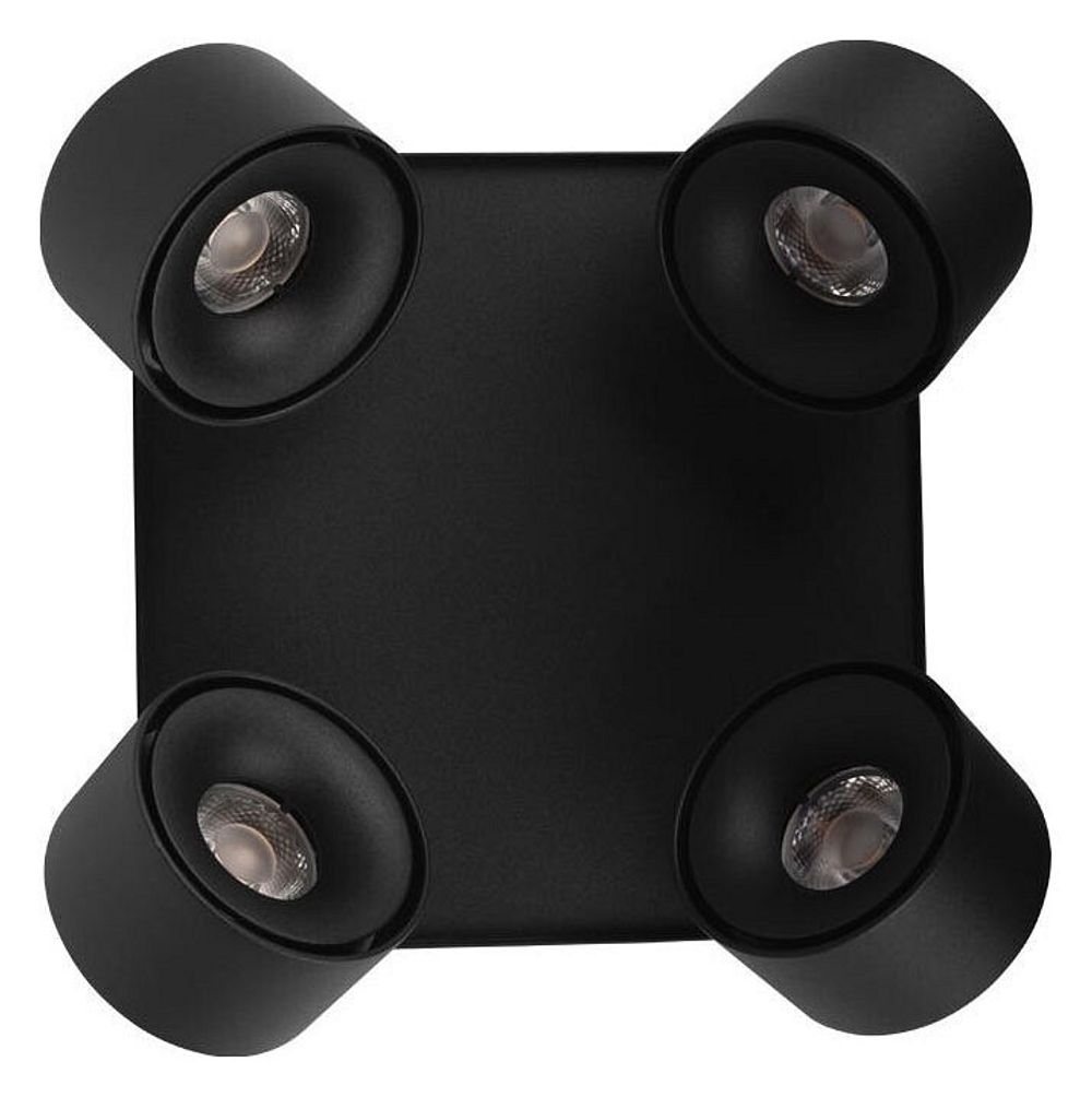 Спот Loft it Case 10326 Black