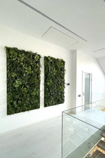 Панно из искусственного мха и растений для частного интерьера.