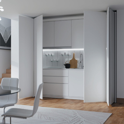 Системы Exedra 2 (под заказ) Bortoluzzi Sistemi (Италия) Высота двери 2000 ширина внешней двери 650