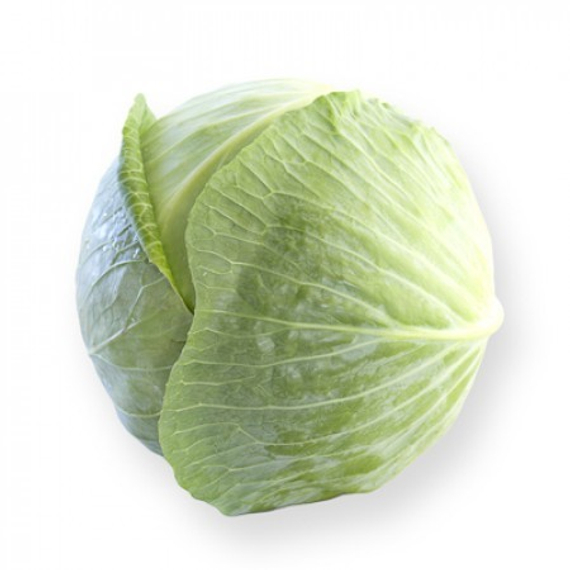 Ориема F1 семена капусты белокочанной (Rijk Zwaan / Райк Цваан) продукт – фото 4