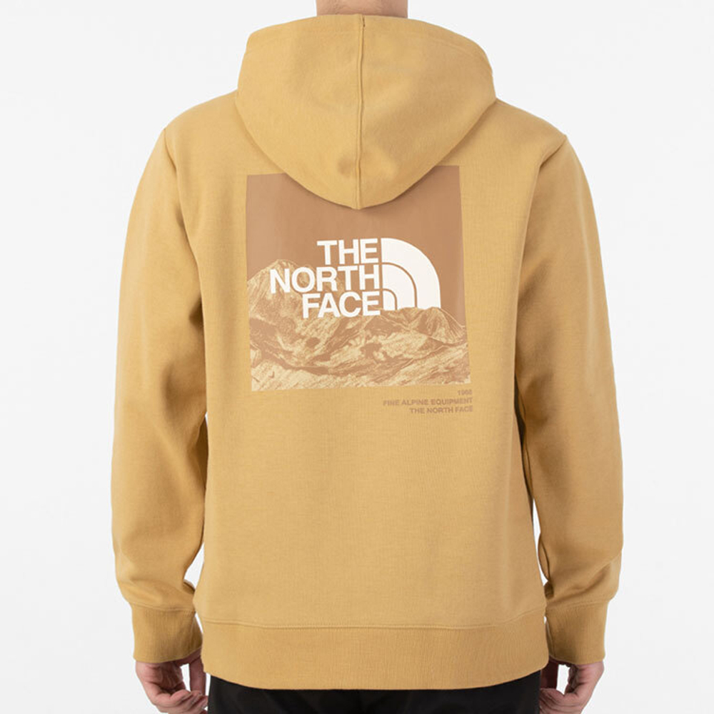 Худи THE NORTH FACE SS22 logo, NF0A5JZL-ZSF
