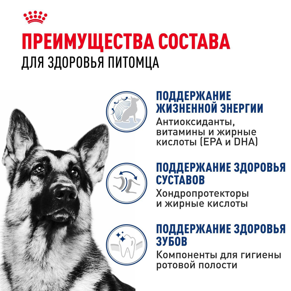 Royal Canin Maxi Adult Корм сухой для взрослых собак крупных размеров от 5 лет до 8 лет 15 кг