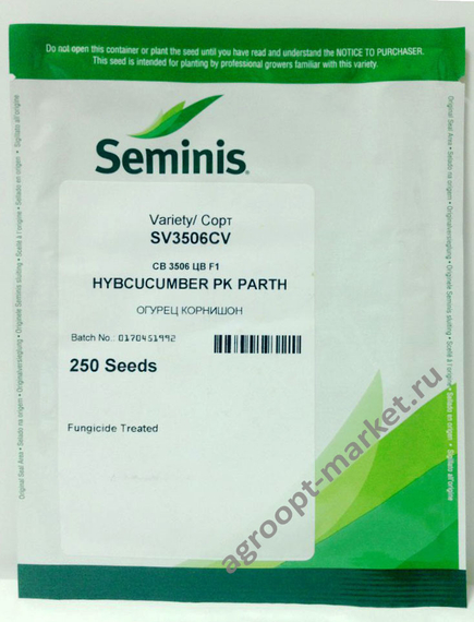 3506 F1 семена огурца партенокарпического (Seminis / Семинис) – фото 2