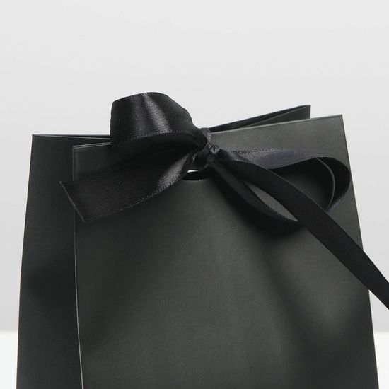 Пакет подарочный с лентой «Чёрный», 13 × 19 × 9 см 7303873