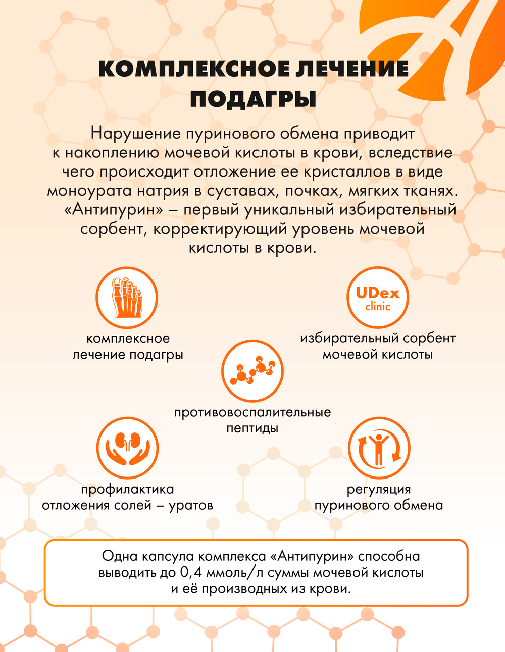 Антипурин, 120 капсул Коррекция пуринового обмена и снижение уровня мочевой кислоты в крови