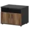 Тумба для оргтехники СМТ-2ДН Тип1  800x600x607 Смарт