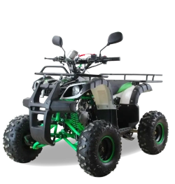 Квадроцикл MOTAX ATV Grizlik Super LUX 50 cc