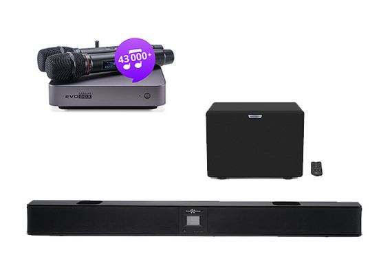 Комплект караоке Evolution Evobox Plus [Graphite] + саундбар EvoSound + годовая подписка на обновления