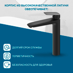 Смеситель Santek Таос для раковины, высокий, черный WH5A04009N001