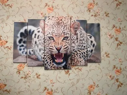 Алексей Майер