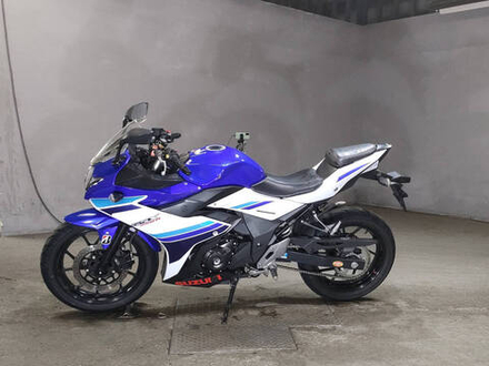 Suzuki GSX250R , 2018