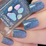 Blue Butterfly