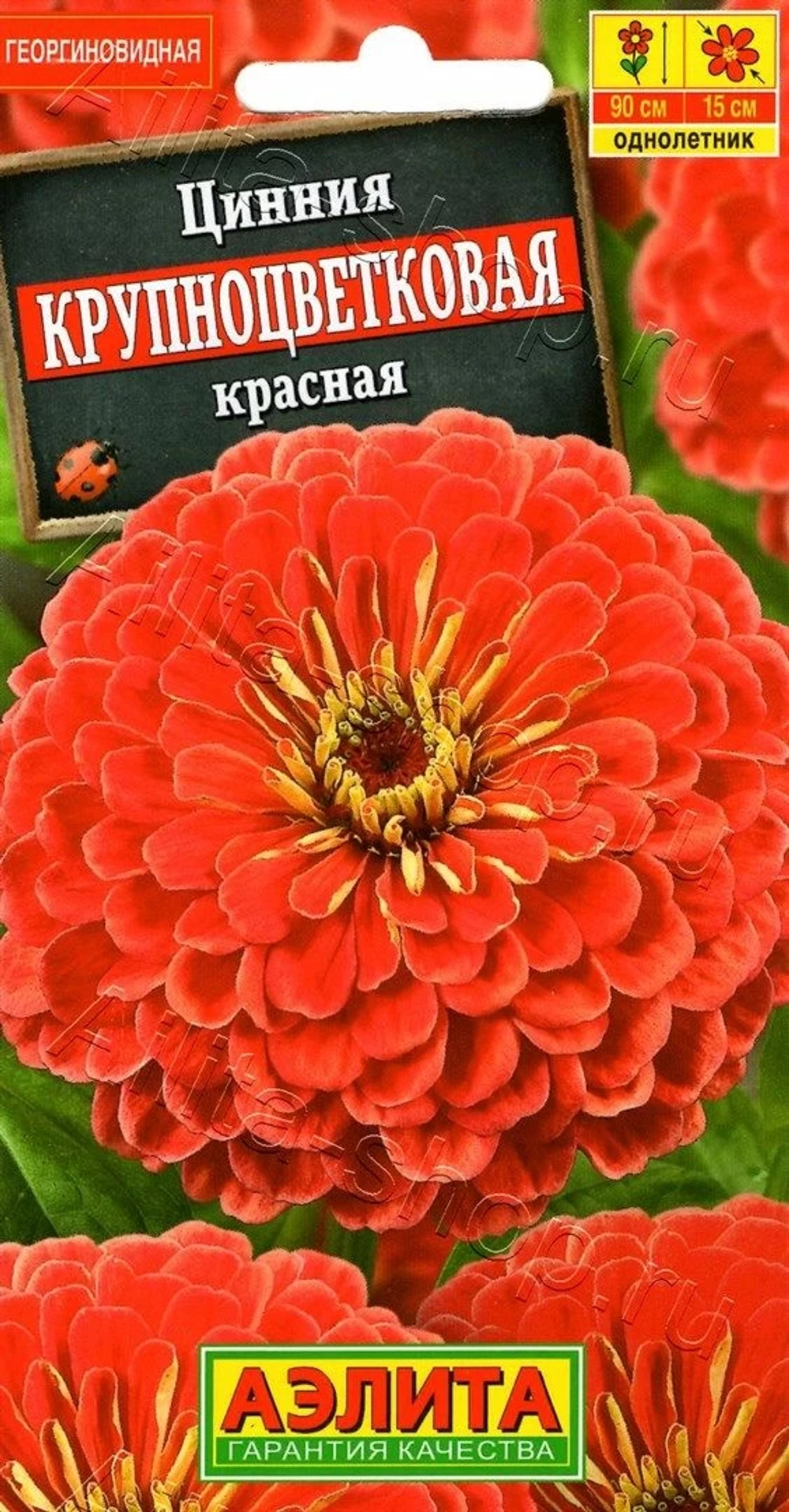 Цинния Крупноцветковая красная 0,3г (Аэлита)