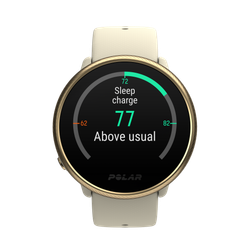 Часы для фитнеса Polar IGNITE 2 champ/gold S/L*