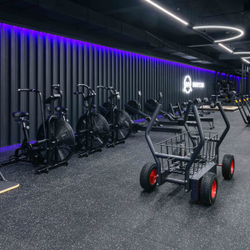 Сани-тележка для функционального тренинга (Тренажер Tank) TANGEN