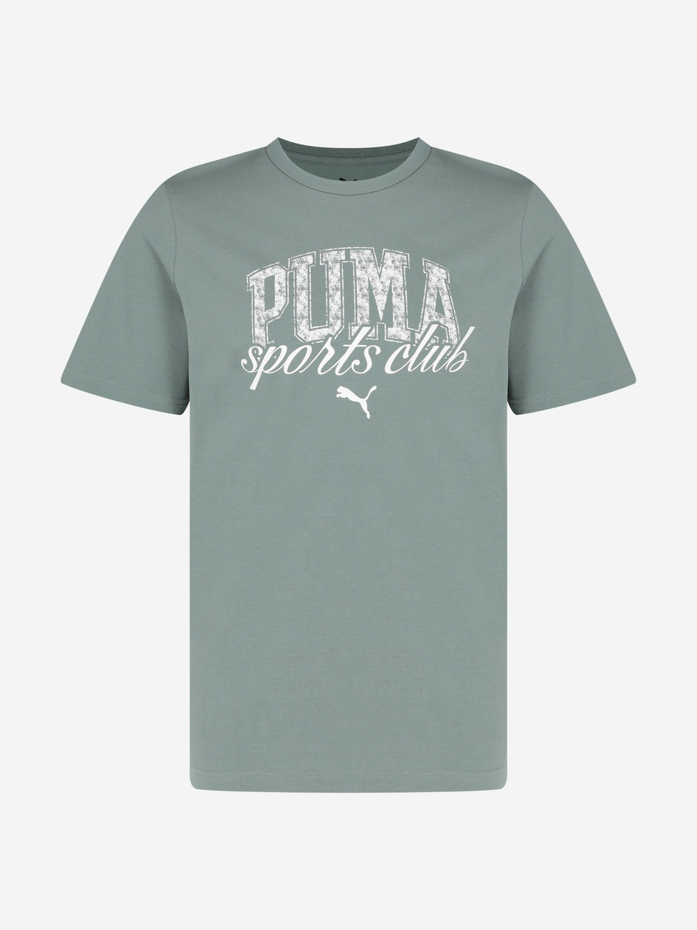 Футболка мужская PUMA CLASS Graphic Tee