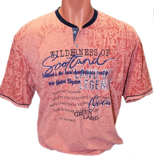 Футболка мужская MAX WAY большой размер (54-60)