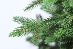 Ель искусственная Царь елка Ева 70 см ЕВ-70