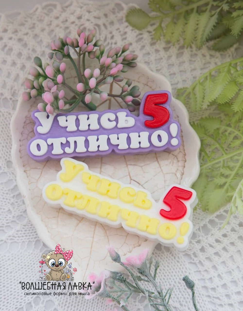 Силиконовая форма Учись отлично