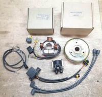 Комплект зажигания для двигателя ROTAX 503