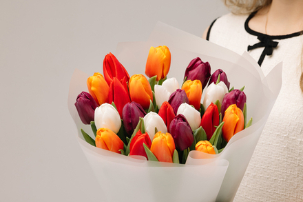 Яркий микс 25 тюльпанов