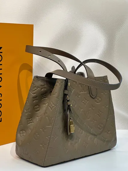 Сумка Louis Vuitton All In One PM