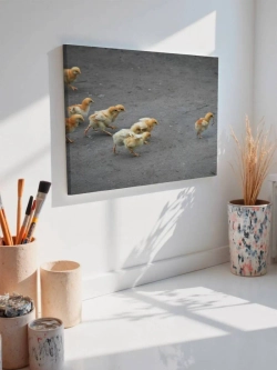 Картина на стену 40 X 50 Цыплята