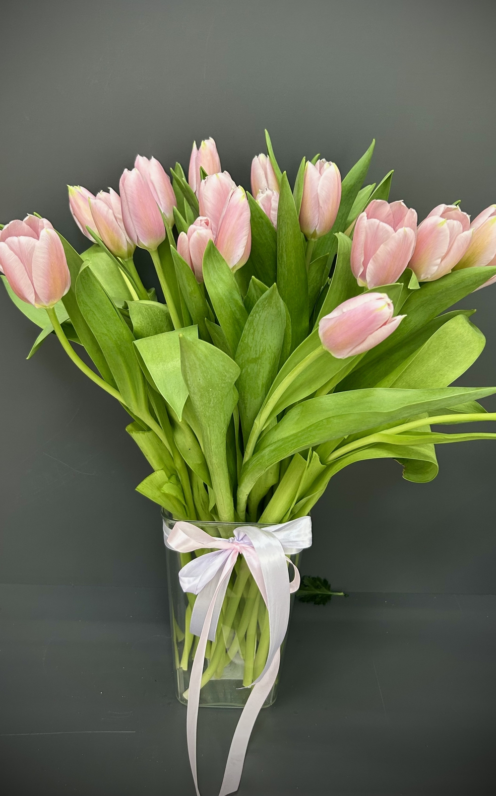 Пудровые тюльпаны 21 шт