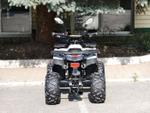 Lion 125 AA серый
