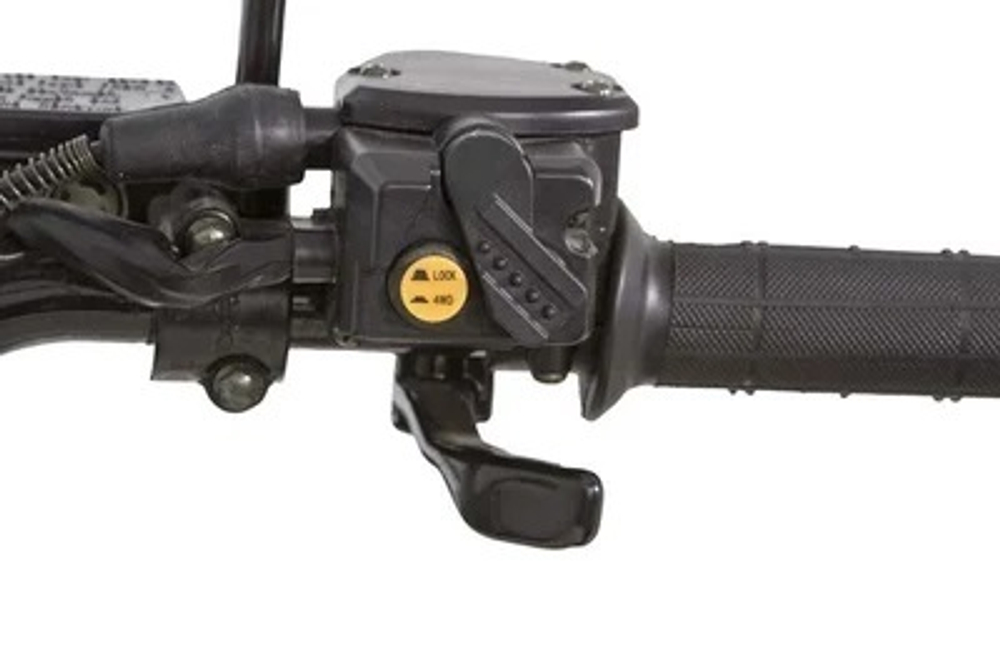 Квадроцикл BALTMOTORS Striker 700 EFI