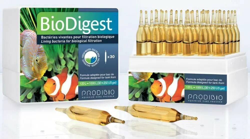 BIO DIGEST (1шт)
