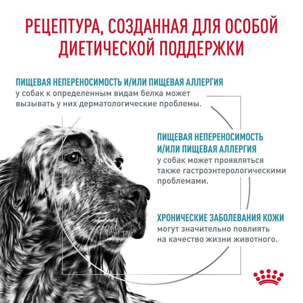 Сухой корм Royal Canin Hypoallergenic для взрослых собак при пищевой аллергии Сухой корм Royal Canin Hypoallergenic для взрослых собак при пищевой аллергии