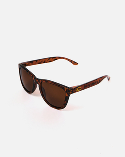 Очки Anteater Агент Леопард/Коричневый