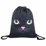 Школьный набор BRAUBERG: папка А4, мешок для обуви 42х33 см, пенал-косметичка 20х10 см, "Black cat", 271075