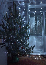 Живая сосна