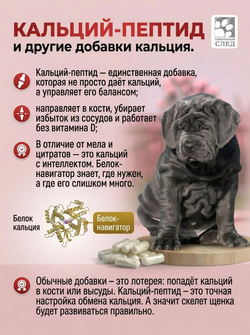 Кальций Пептид 50+ Регулятор баланса кальция для собак весом от 50 кг.
