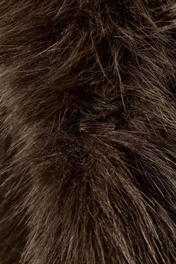 ZARA КОРОТКАЯ ШУБА ИЗ ИСКУССТВЕННОГО МЕХА, КОРИЧНЕВЫЙ