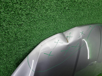 Капот Geely Coolray (2019-2024)