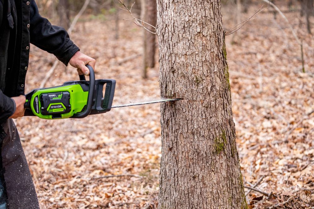 Цепная пила аккумуляторная Greenworks GD60CS25k5 Арт. 2008907U2G, 60V, 40 см, бесщеточная, 2500 Вт, с 2хАКБ 5 Ач. и ЗУ