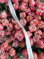 Тюльпаны махровые- нежно-розовый цвет