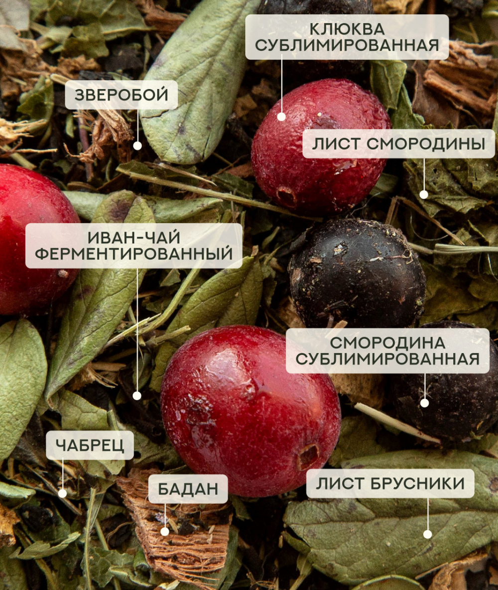 Чай Сила алтайских гор (крафт пакет)