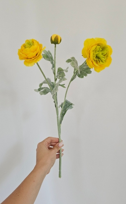 Ранункулюс / Арт 2266