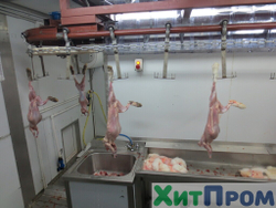 Комплекс убоя и переработки кроликов до 150 голов/час. Детское питание. Тульская область.