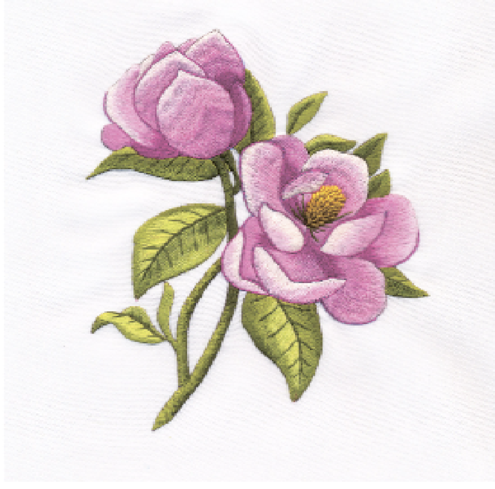 Набор для вышивания "PANNA" C-1389 "Магнолия" 15 х 18.5 см