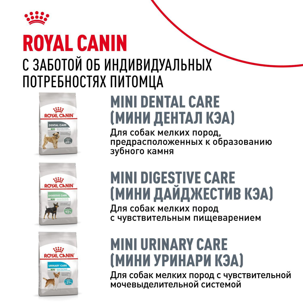 Royal Canin Mini Dermacomfort Корм сухой для взрослых собак мелких размеров 1кг
