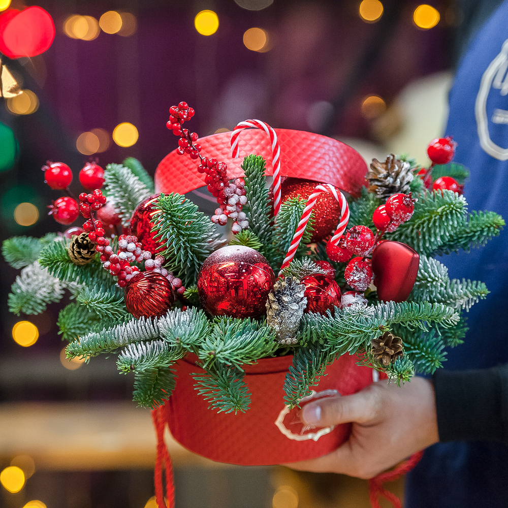 Красная шляпная коробка с нобилисом