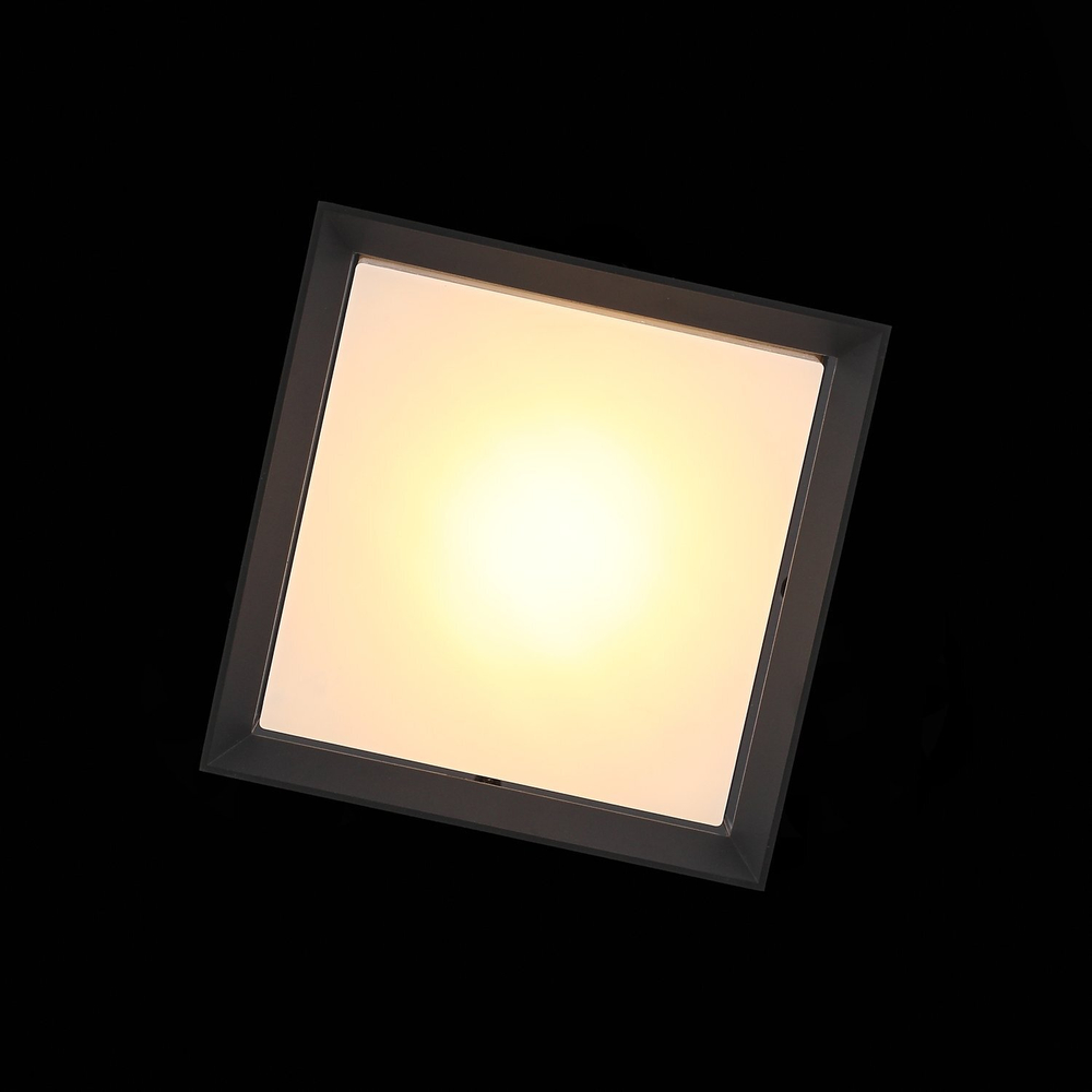 SL077.402.01 Светильник уличный потолочный ST-Luce Черный/Белый LED 1*12W 3000K CUBISTA