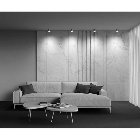 Потолочный светильник Maytoni Technical Polar C088CL-GX53-S