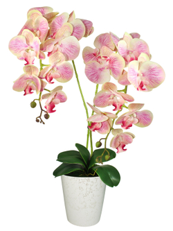 Искусственная Орхидея бежево-лиловая 2 ветки 55 см в кашпо