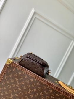 Louis Vuitton Mini Bumbag